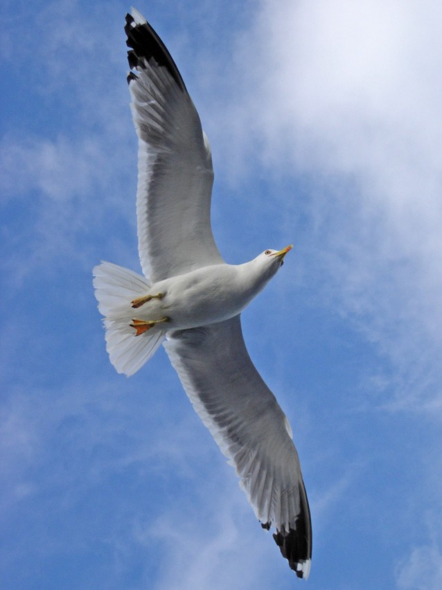 How To Find Inner Peace
